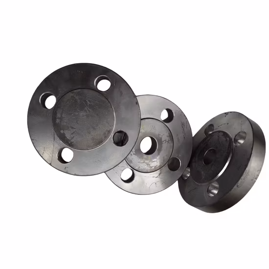 Forged Carbon Steel Stainless Steel Pipe Flanges