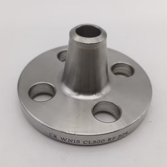 Flange ANSI DIN 304 Stainless Steel Industrial Standard 12 Inch Pipe Flange
