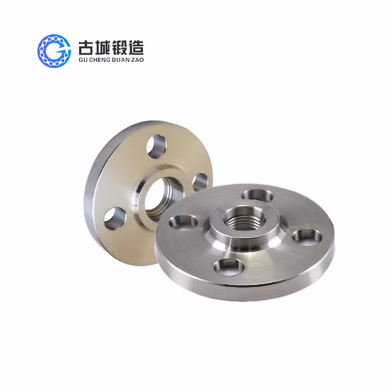 ASME ANSI B16.5 Forged Stainless Steel 304 316L Pipe Flange